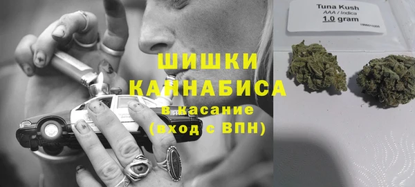 прущие крисы Аркадак