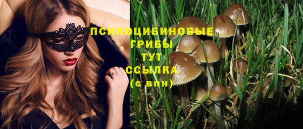прущие крисы Аркадак