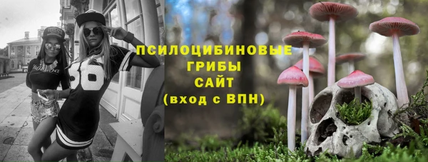 первитин Арсеньев