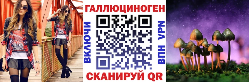 Галлюциногенные грибы Psilocybine cubensis  ОМГ ОМГ онион  Лениногорск 